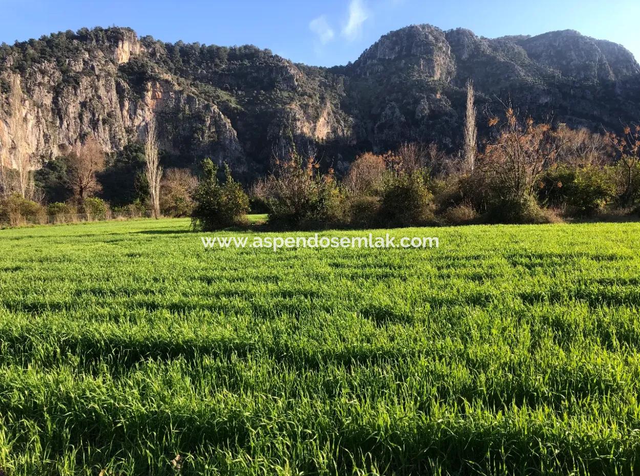 Land For Sale Marmarli 1500M2 Land For Sale