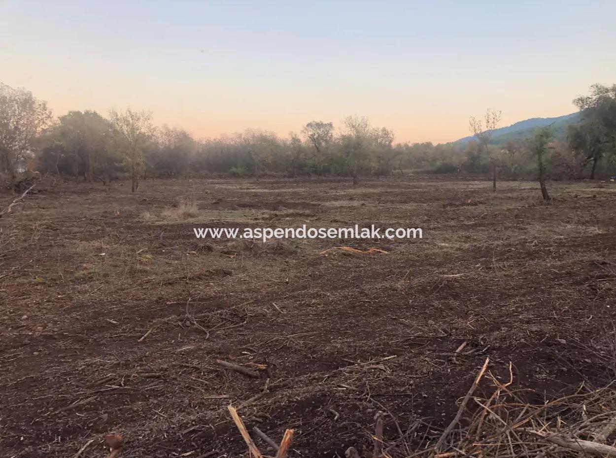 Sultaniye Land For Sale Near 10577M2 Lake Land For Sale