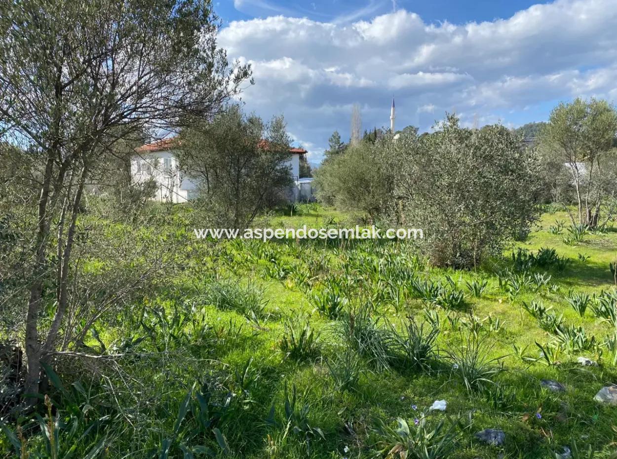 401M2 Land For Sale In Ortaca Cumhuriyet Neighborhood