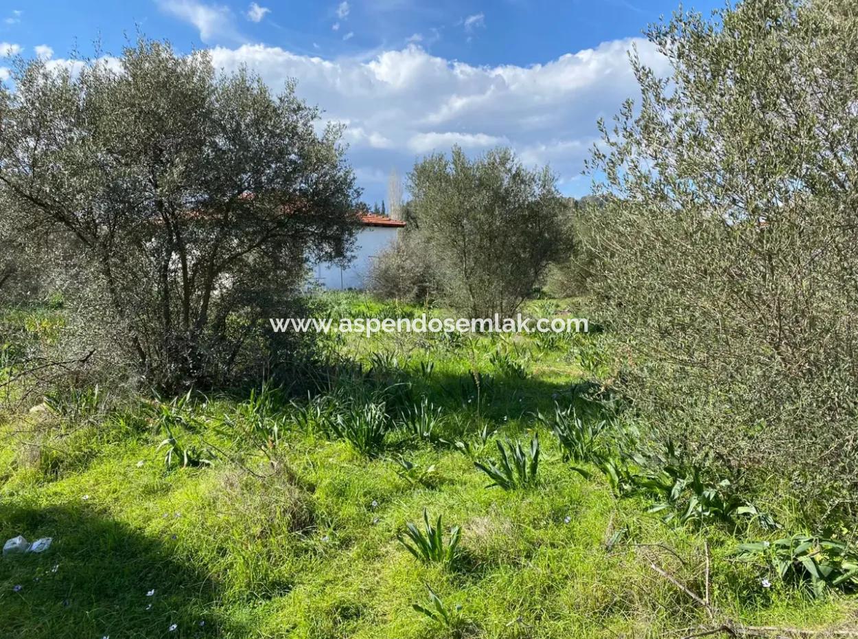 401M2 Land For Sale In Ortaca Cumhuriyet Neighborhood