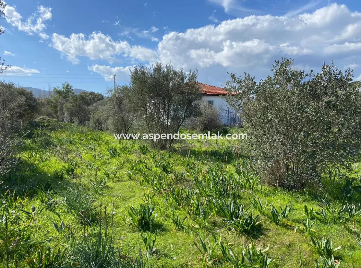 401M2 Land For Sale In Ortaca Cumhuriyet Neighborhood