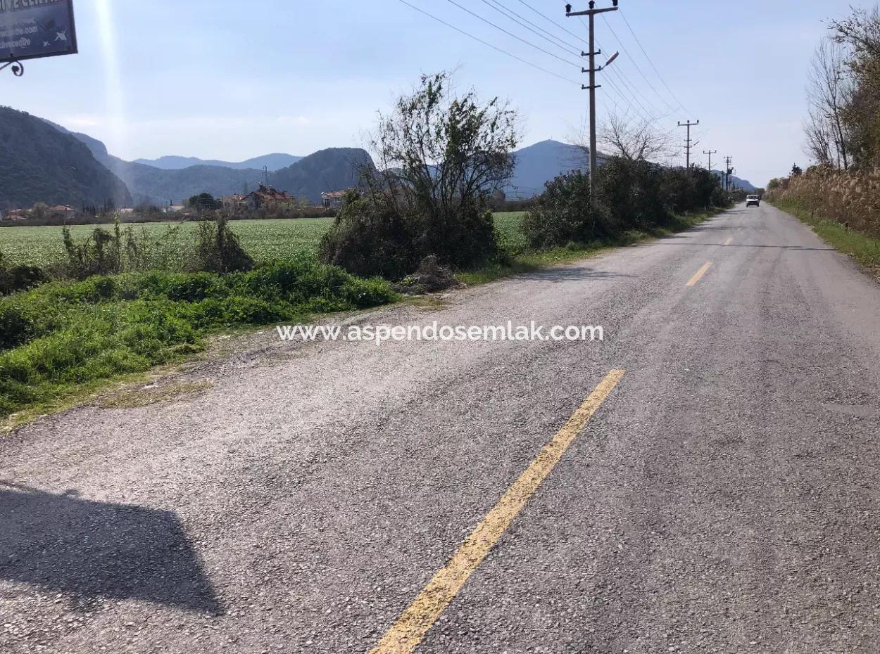 5500M2 Land For Sale In Dalyan