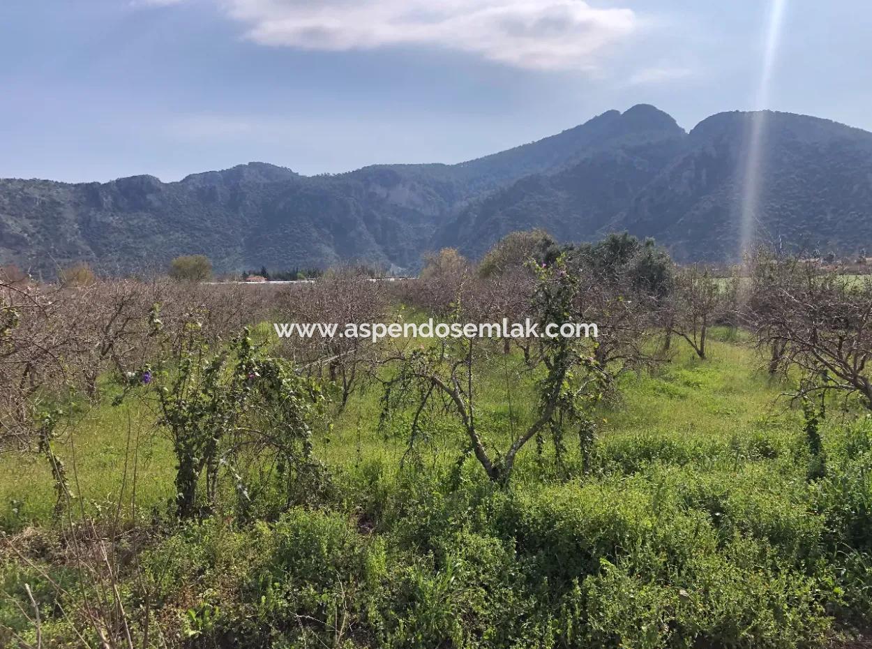 5500M2 Land For Sale In Dalyan