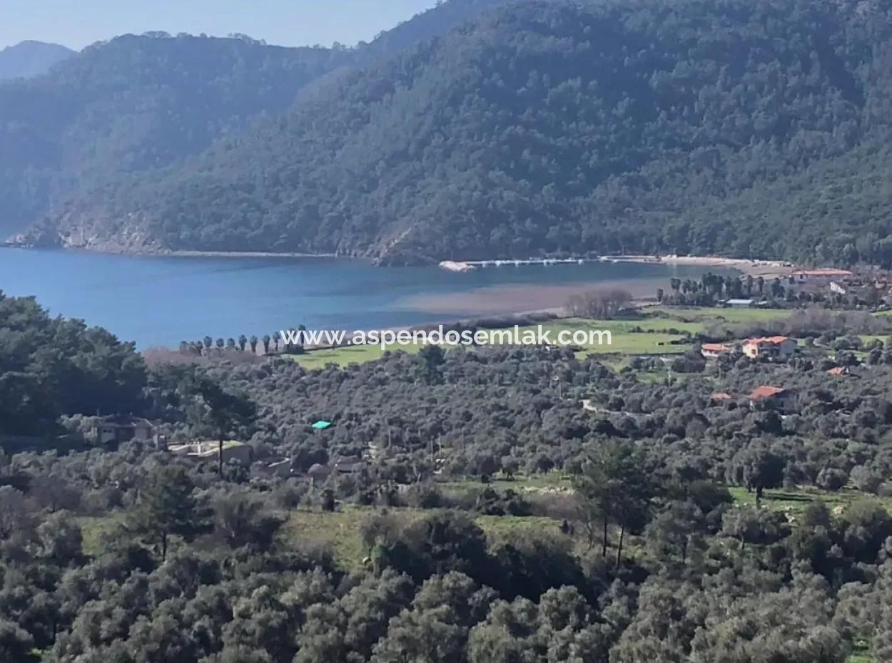 Ekincik Land For Sale Very Close To The Sea 2000M2 Land For Sale