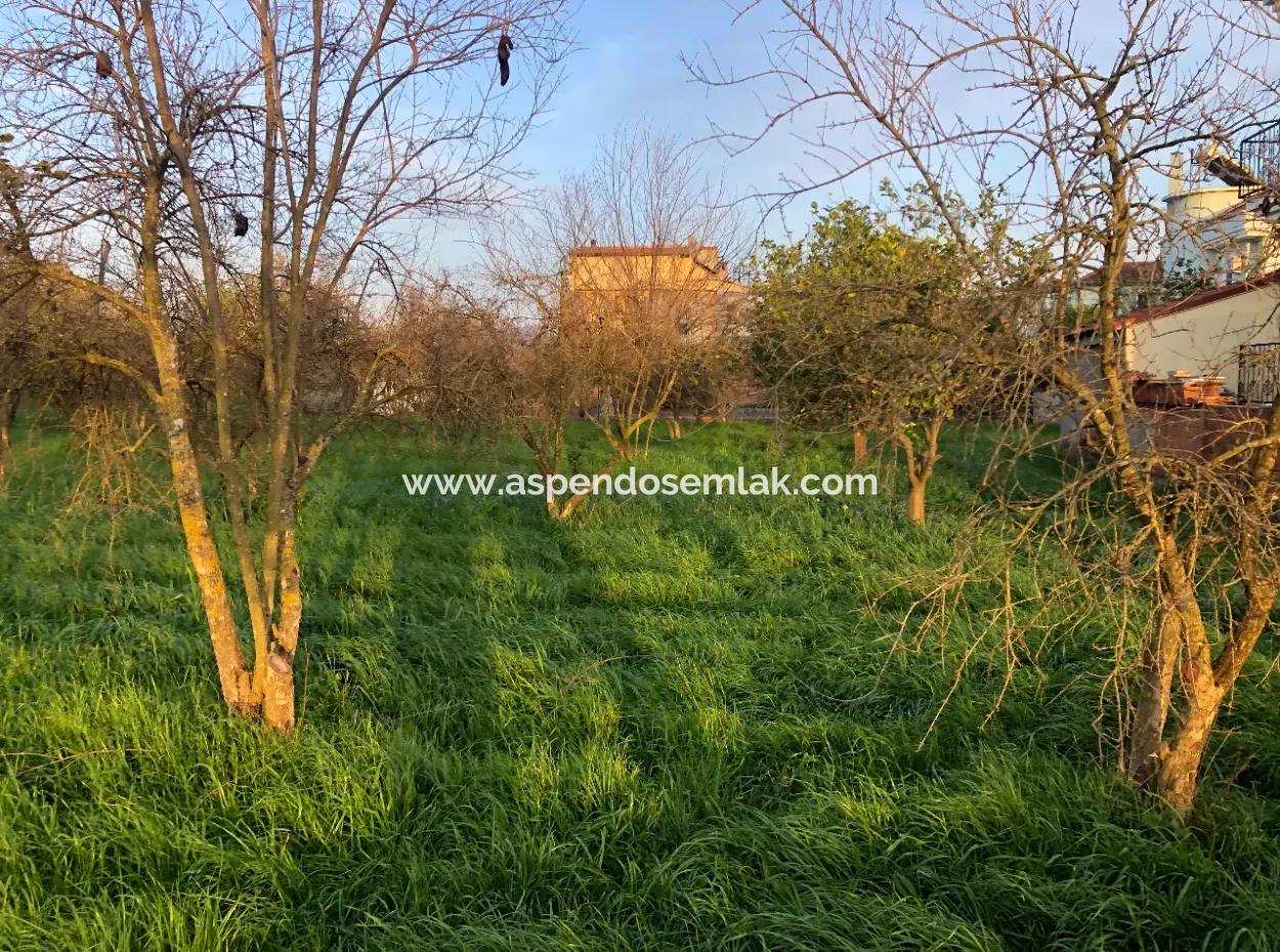 In Okçular Land For Sale 4707M2 Land For Sale