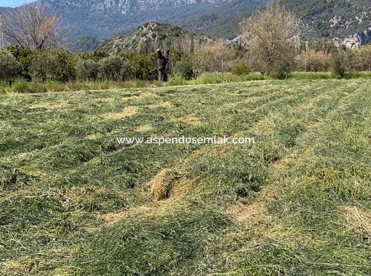 3700M2 Land For Sale In Dalyan