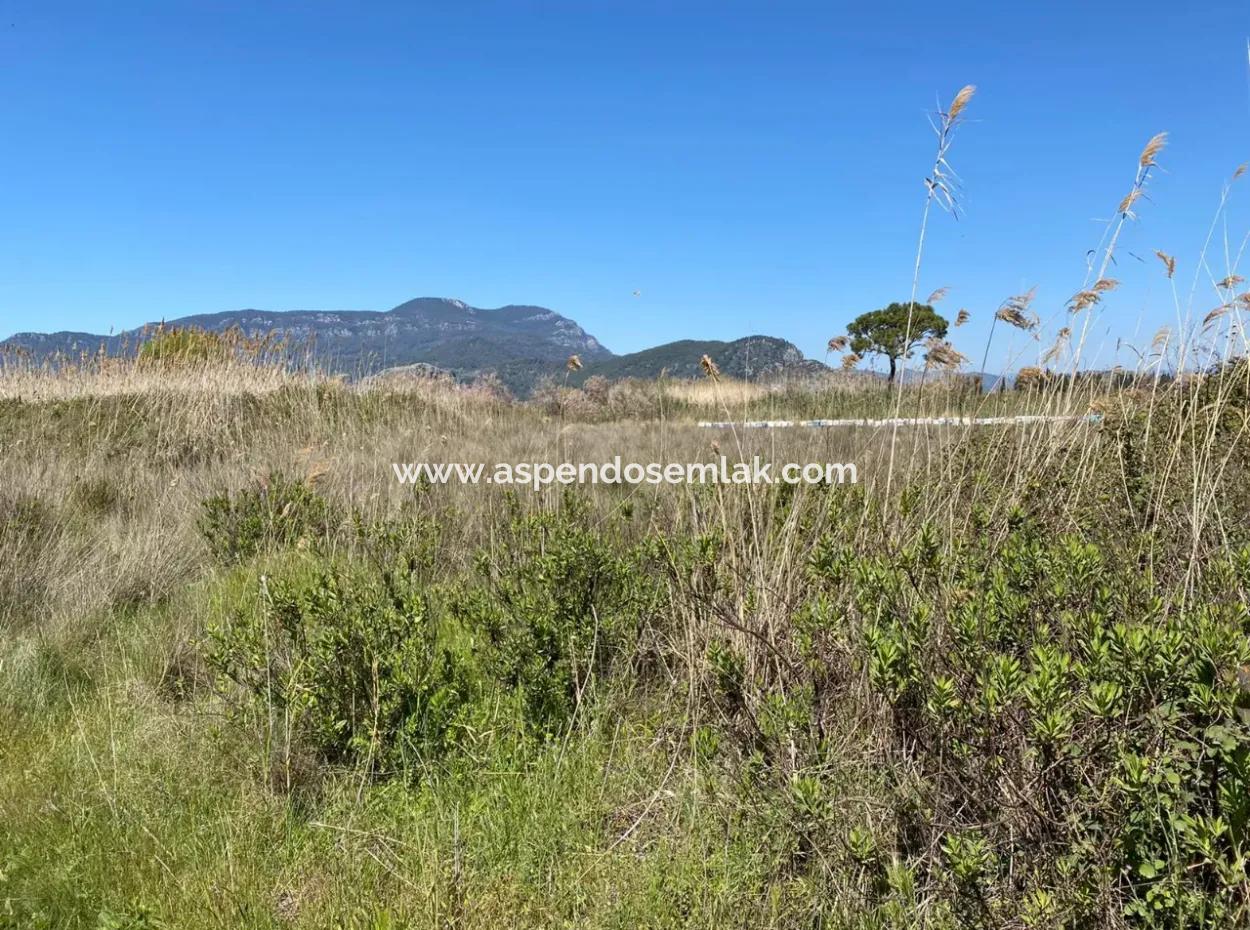 9310M2 Land For Sale In Dalyan