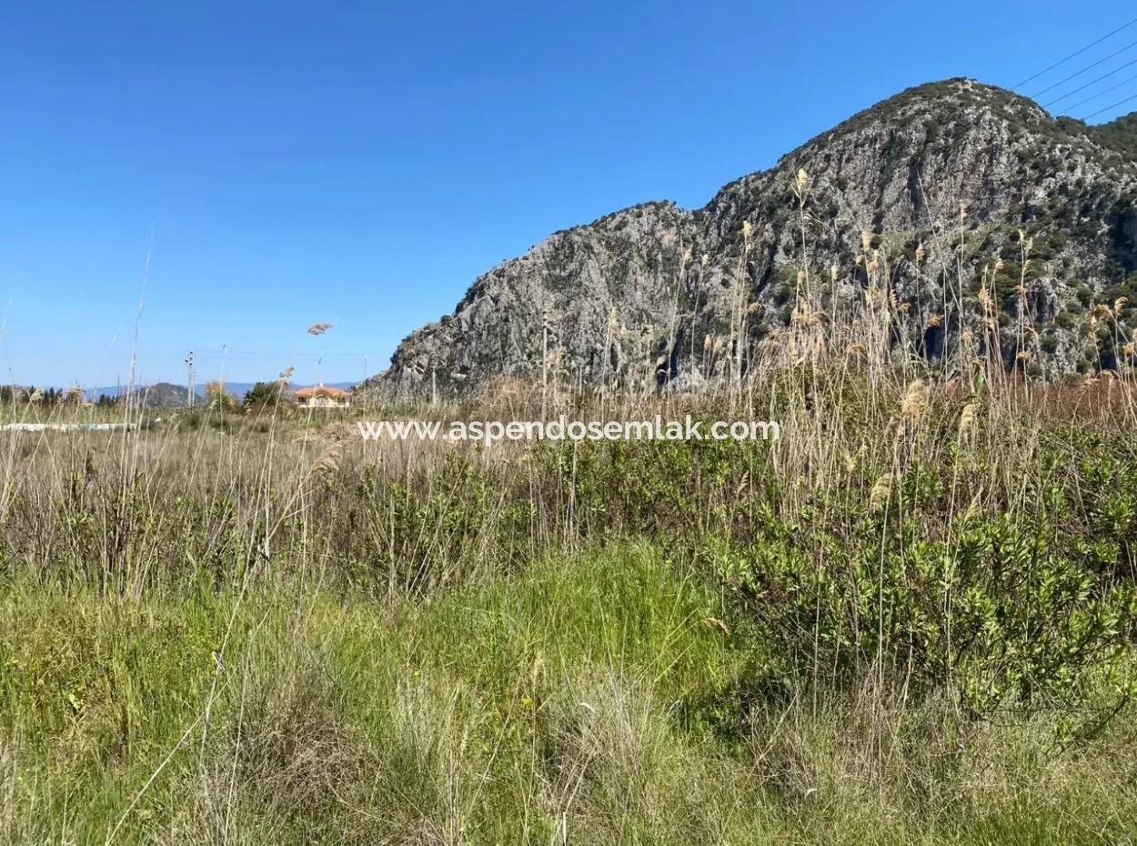 9310M2 Land For Sale In Dalyan