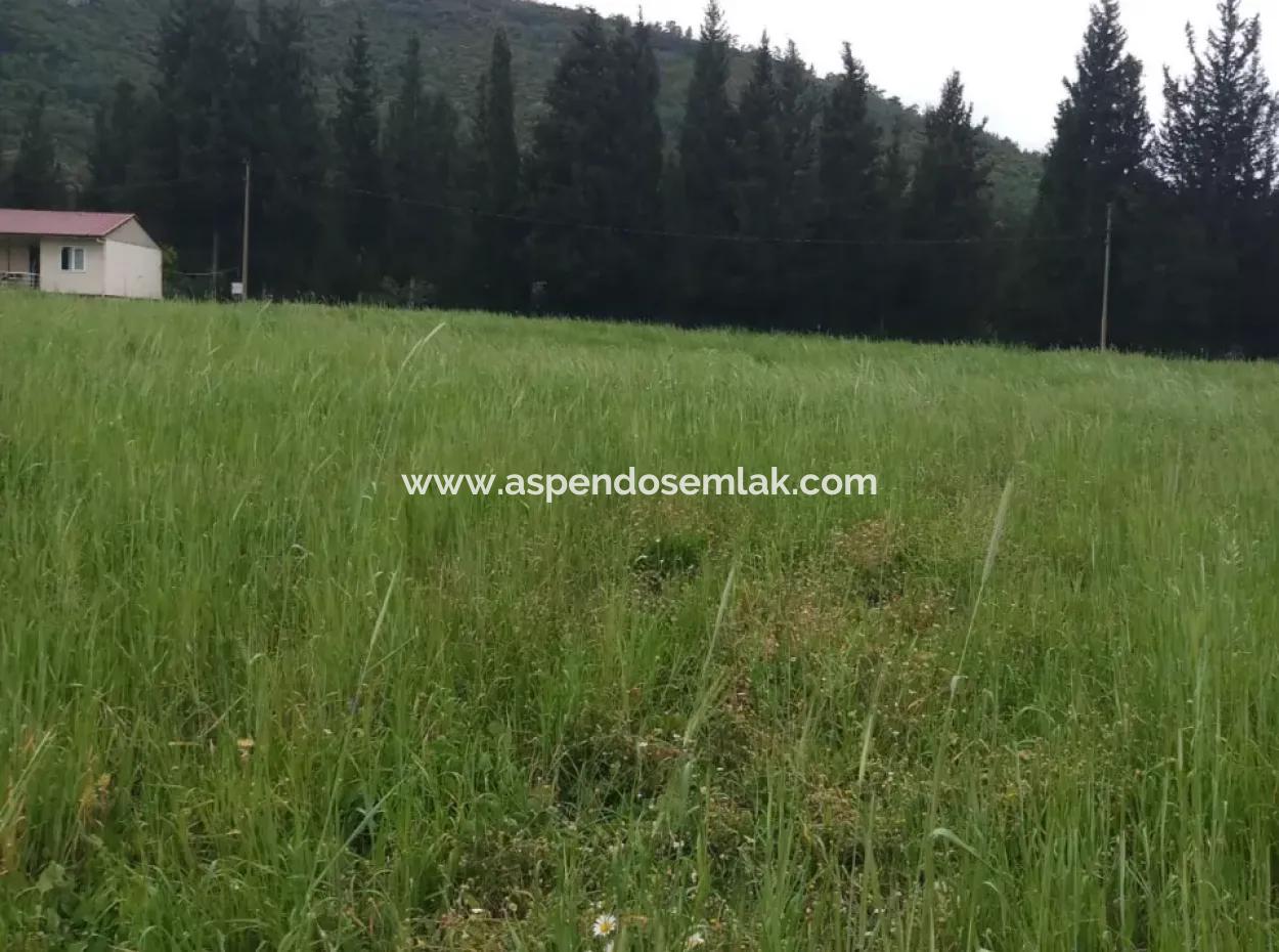 Land For Sale In Çamlida