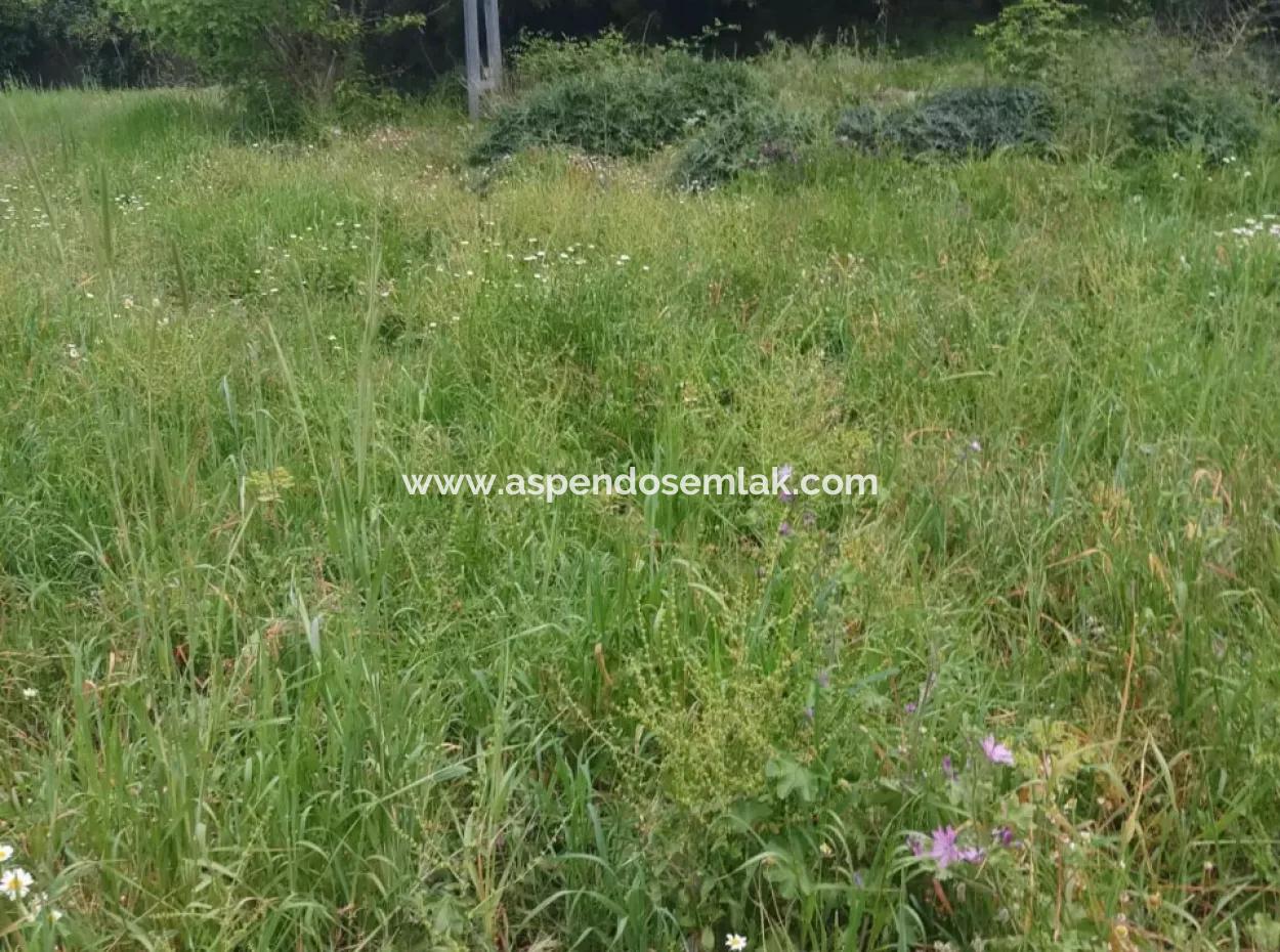 Land For Sale In Çamlida
