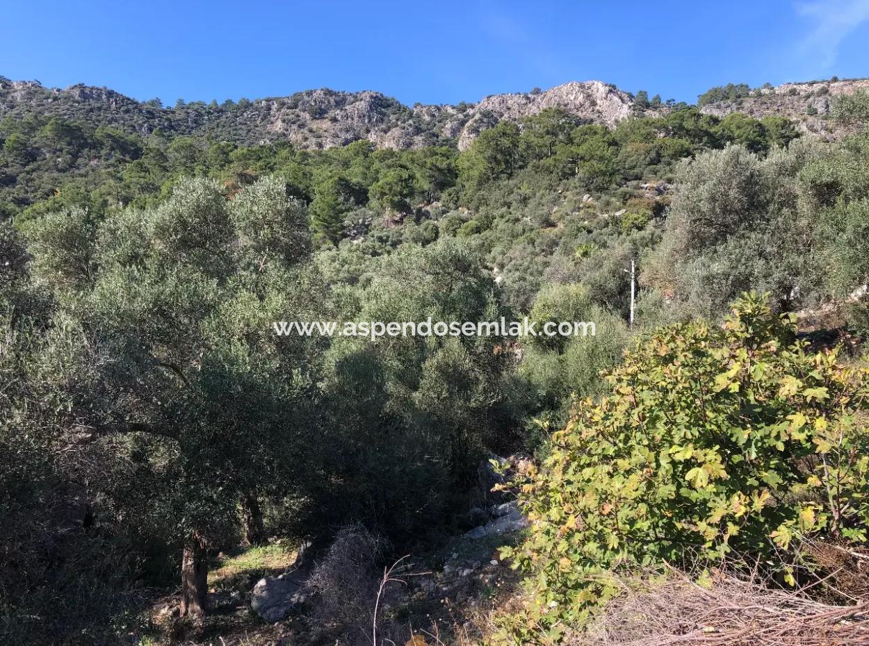 Land For Sale With Sea View Of Fevziye