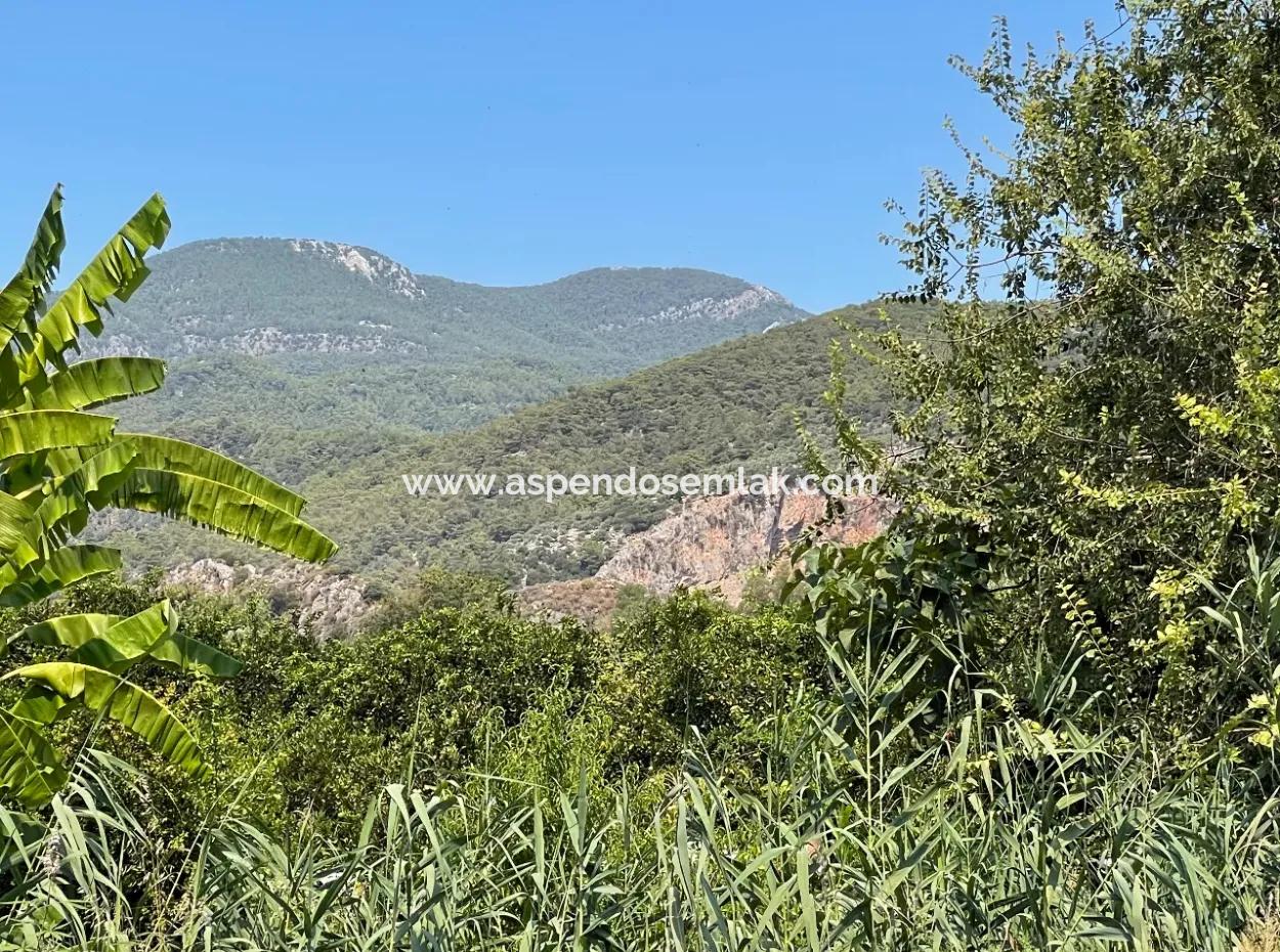 19-Room Hotel For Sale In 7,500 M2 Plot In Dalyanda