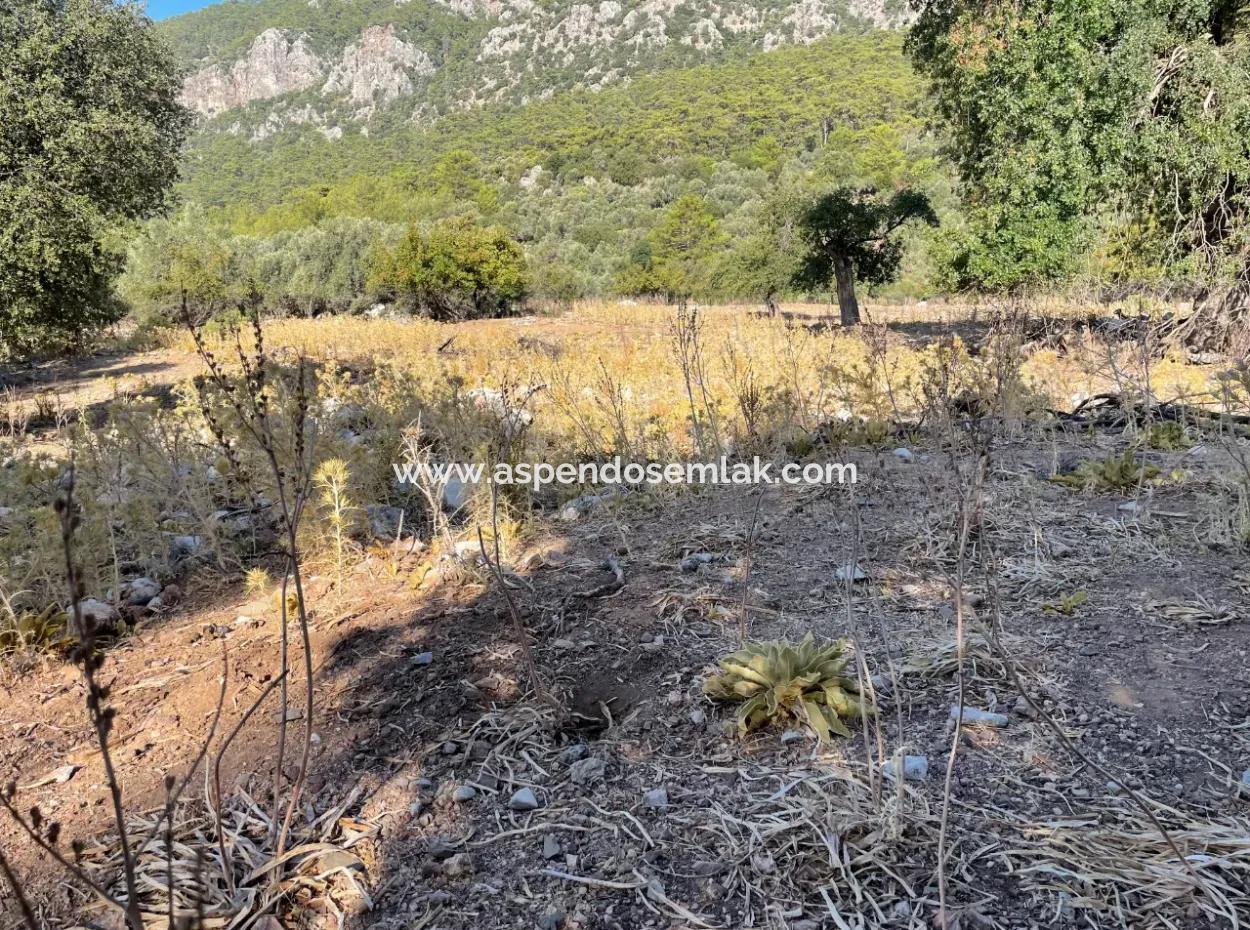 2620M2 Land Field For Sale With Sea View Of Çandir