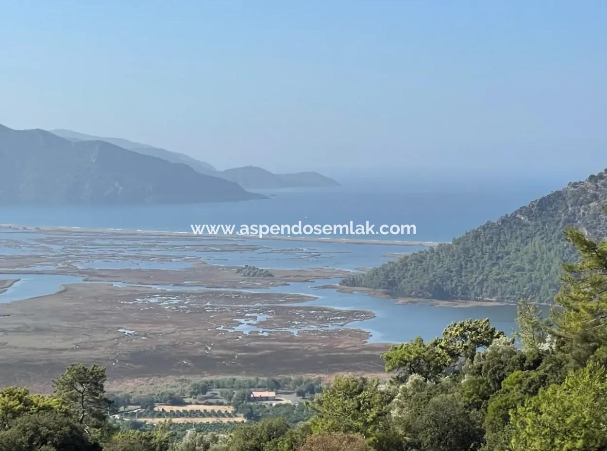 2620M2 Land Field For Sale With Sea View Of Çandir