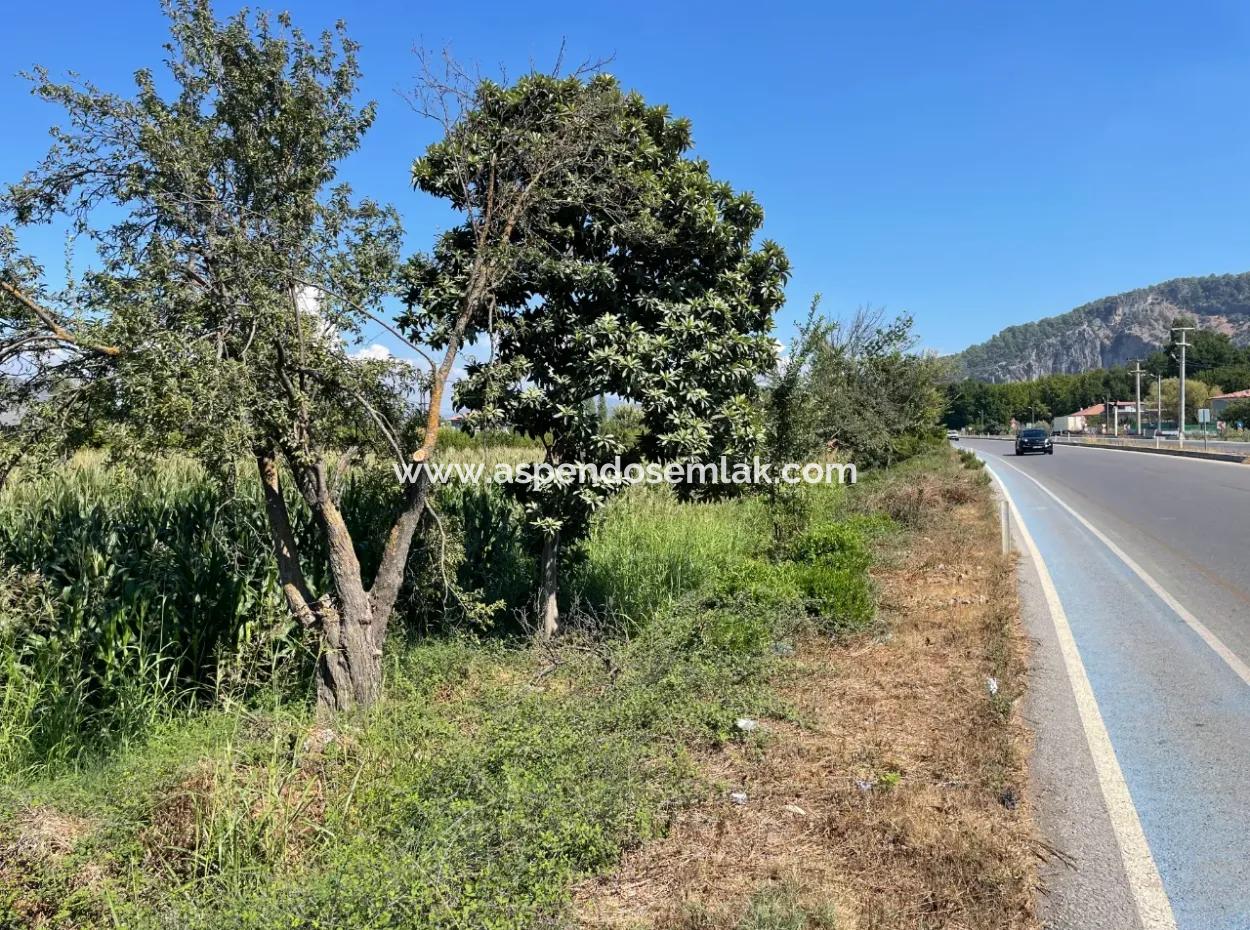Dalyan Main Road Zero Land For Sale 8115M2 Commercial Land For Sale