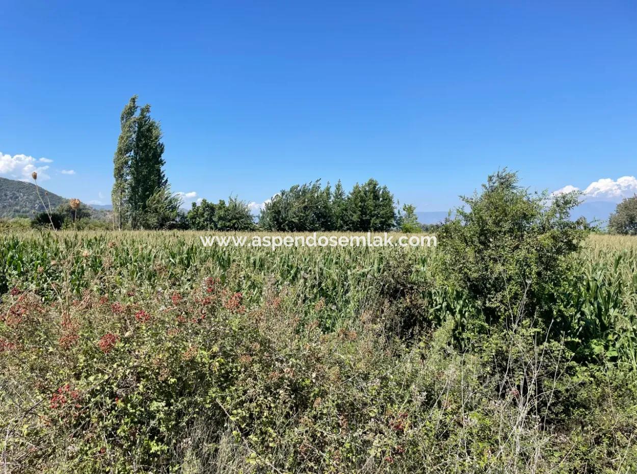 Dalyan Main Road Zero Land For Sale 8115M2 Commercial Land For Sale