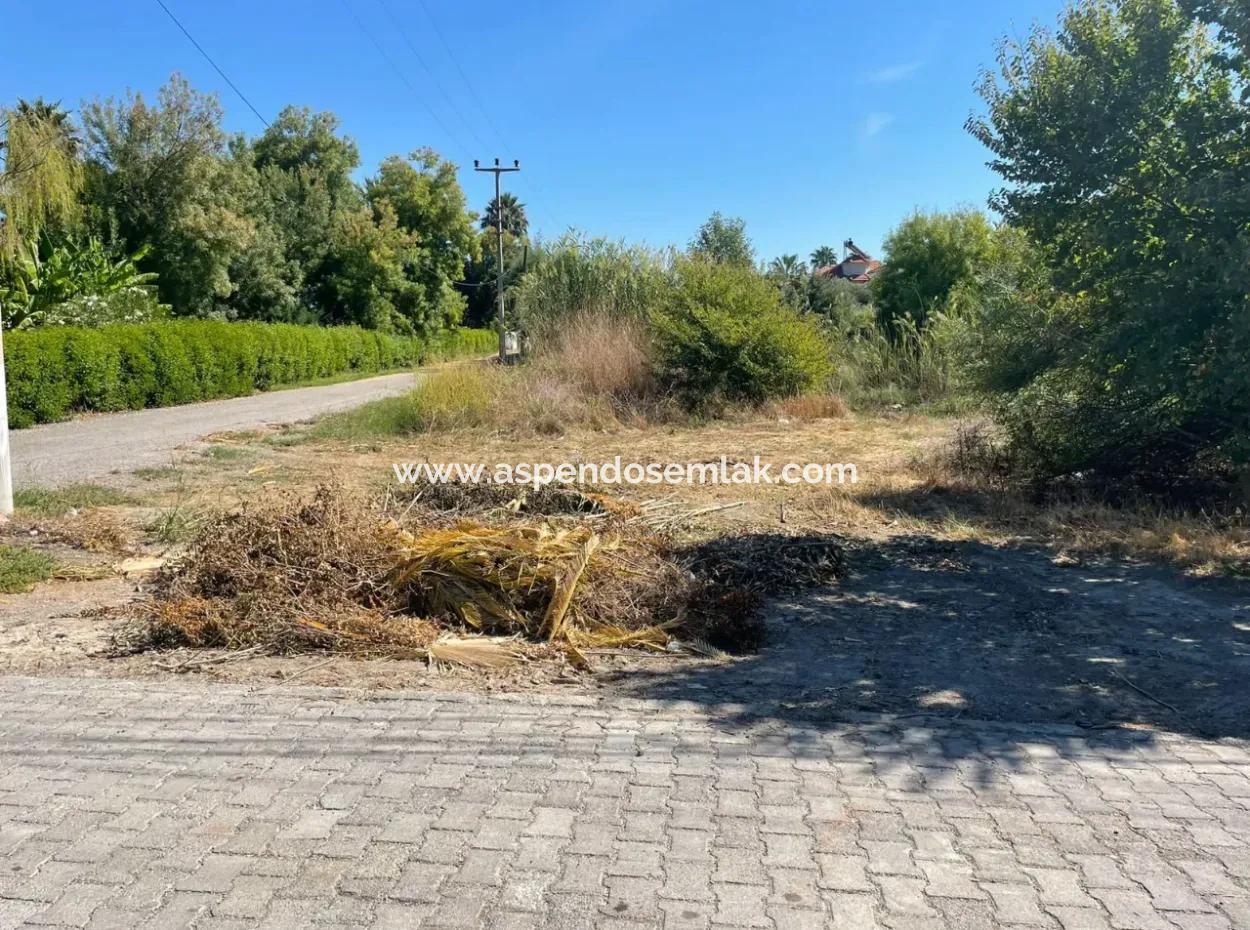 1000M2 Land For Sale In Dalyan Gülpinar Corner