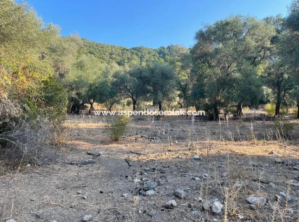 Çandir 3,800M2 Land For Sale