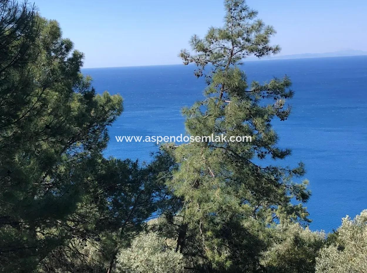 Land For Sale With Sea View Of Çandir