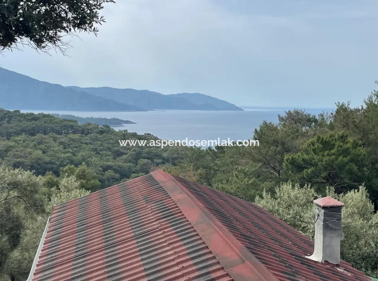 Olive House With Sea View In Ekincik Is For Sale