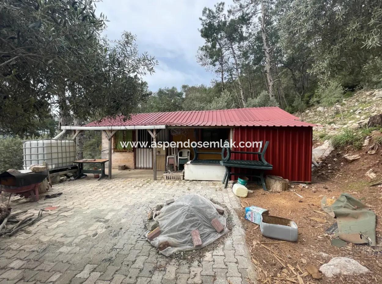 Olive House With Sea View In Ekincik Is For Sale