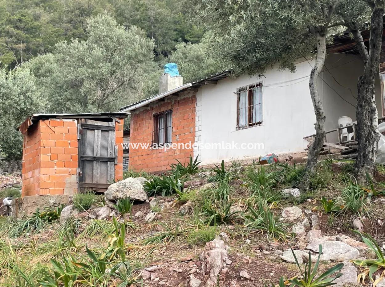 Olive House With Sea View In Ekincik Is For Sale