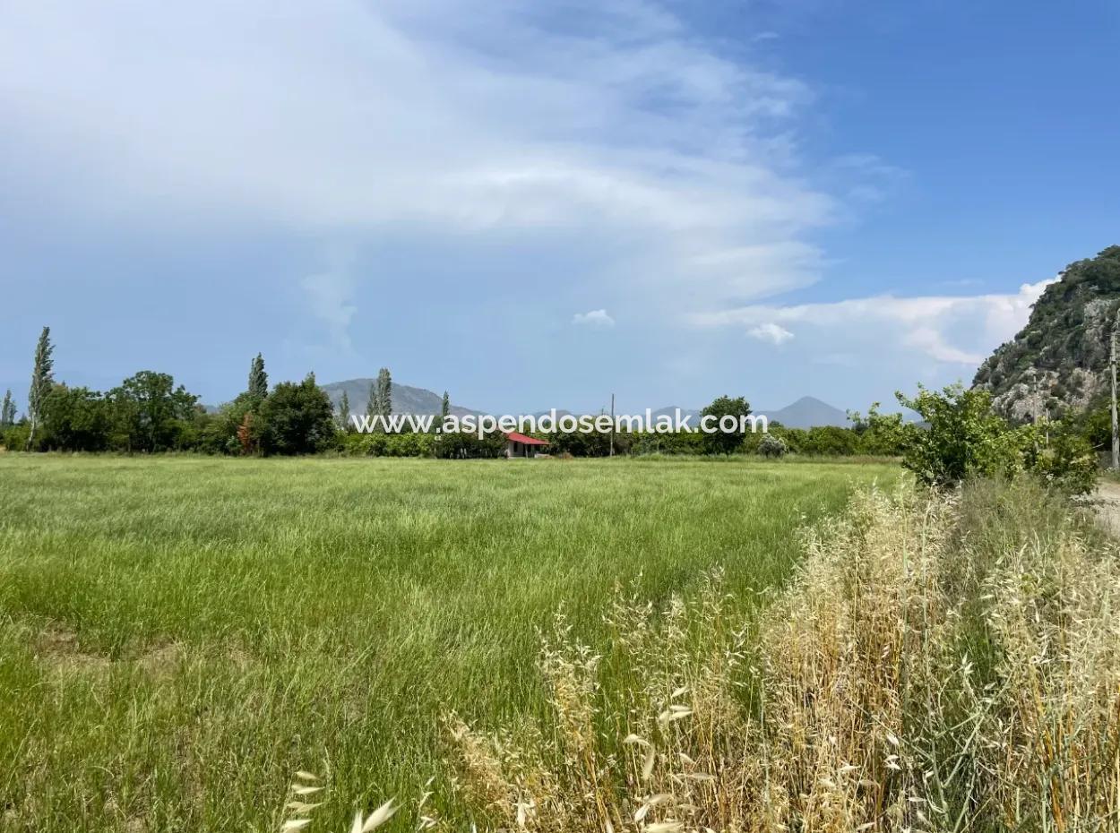 4595M2  Land For Sale In Okçular Marmarlı