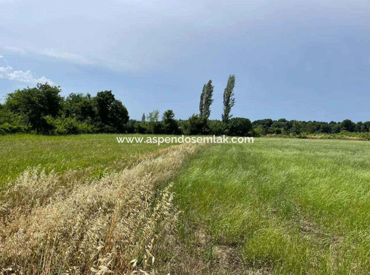 4595M2  Land For Sale In Okçular Marmarlı