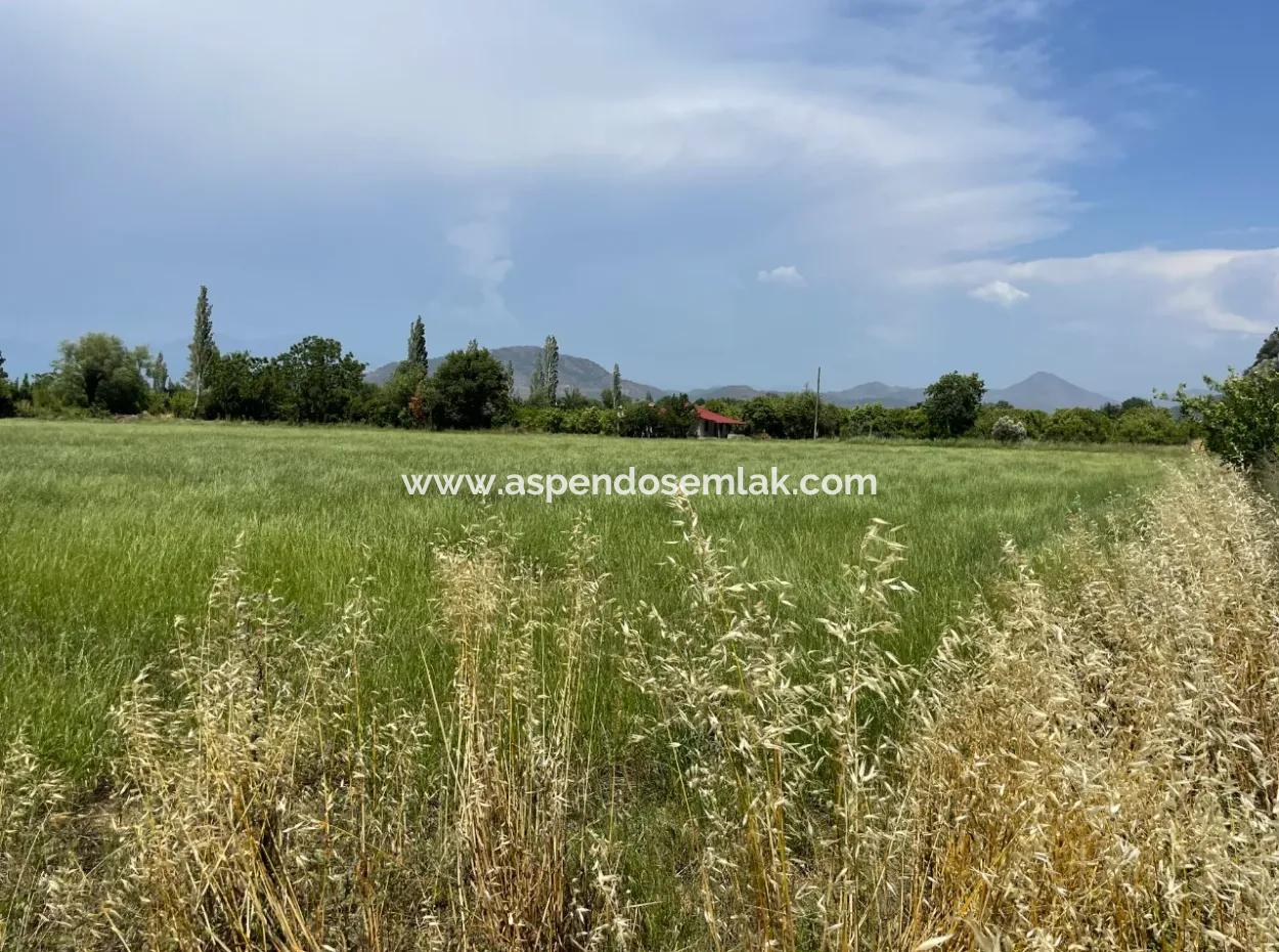 4595M2  Land For Sale In Okçular Marmarlı