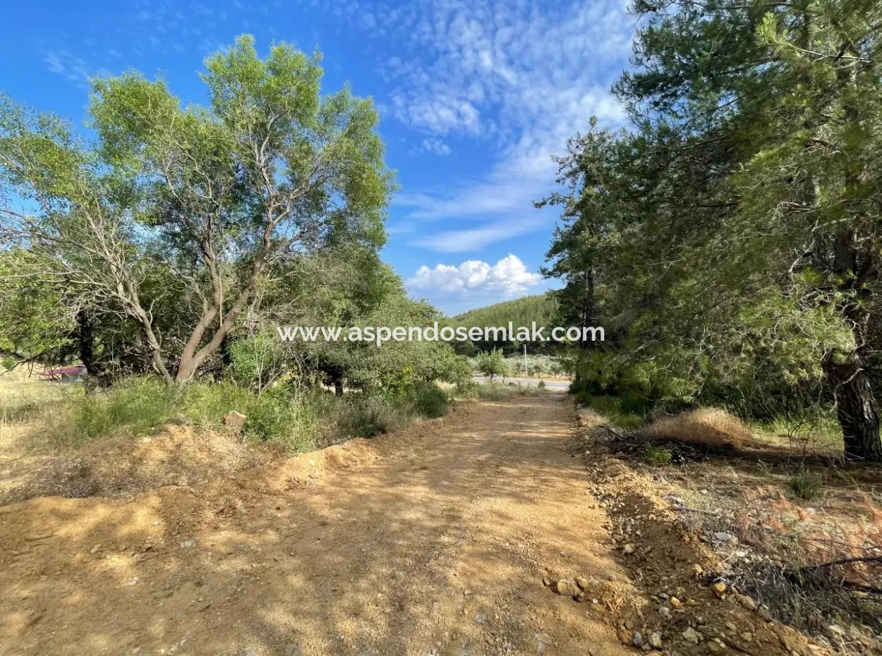 Land For Sale In Ula Armutchuk With 501M2 Zoning