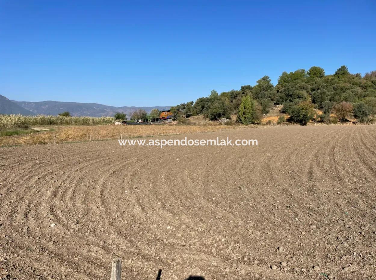 6254M2 Field For Sale Near Dalyan In Eskiköy
