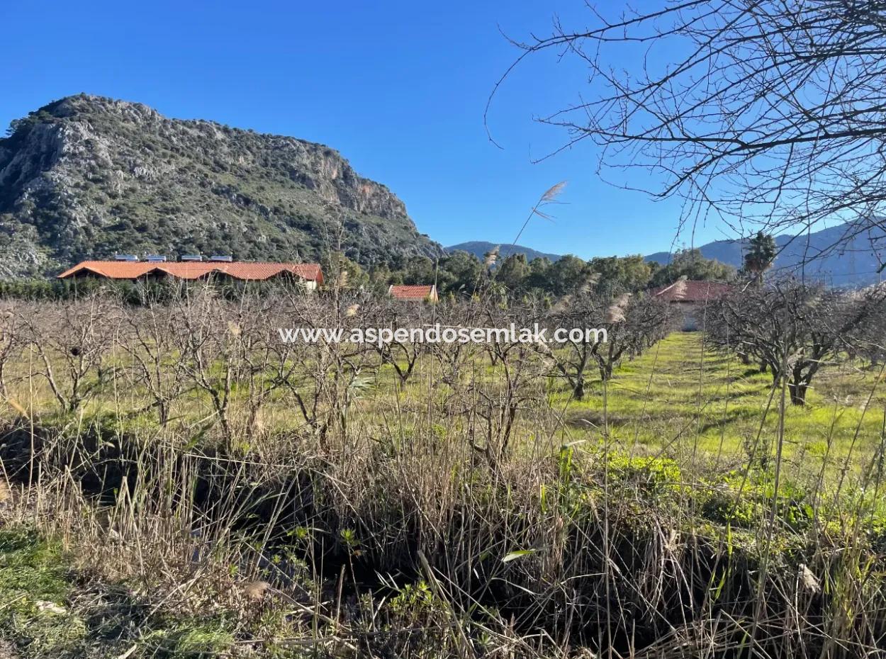 Dalyan Iztuzu Road Zero 5216M2 Field Plot For Sale