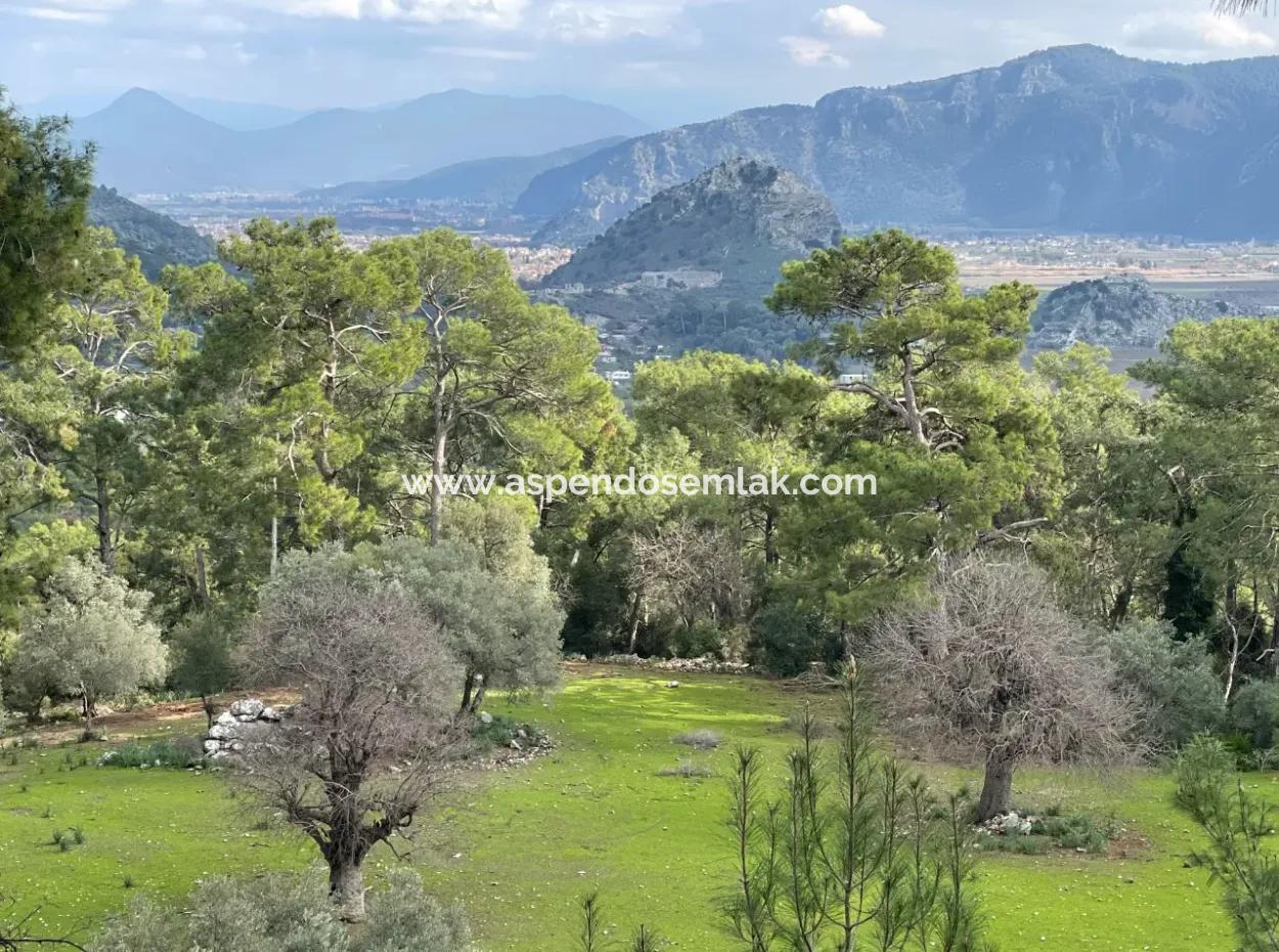 10,707M2 2B Field For Sale With Sea Lake View In Çandır