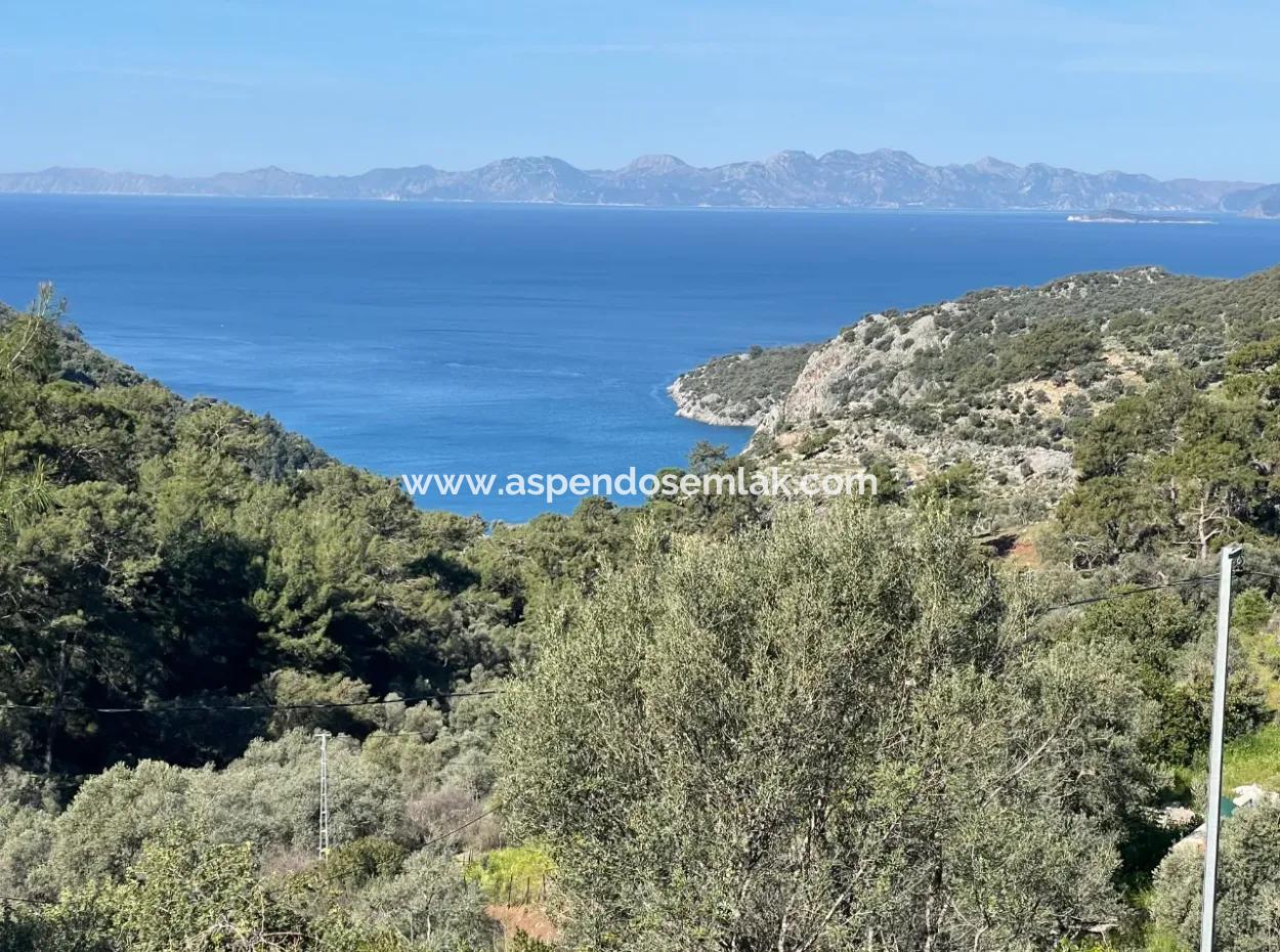 Village House For Sale In 4,400M2 Land With Full Sea View In Gökbel