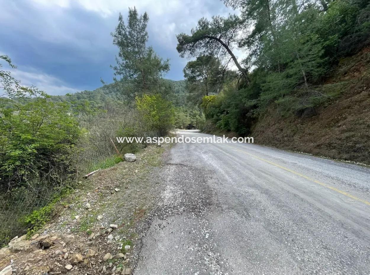 5000M2 Field For Sale At The Beginning Of The Road In Çandır