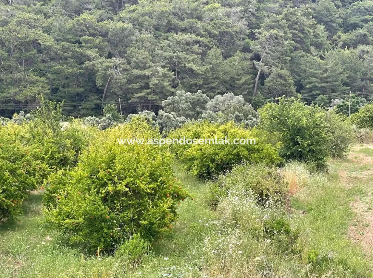 Gökbelde 14,000M2 Field For Sale