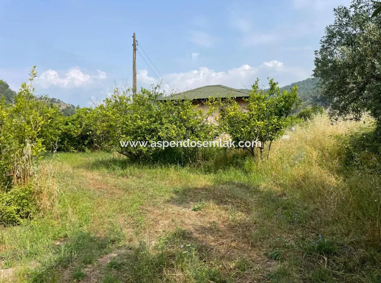 7800M2 Land For Sale At The Beginning Of Iztuzu Beach Road In Gökbel
