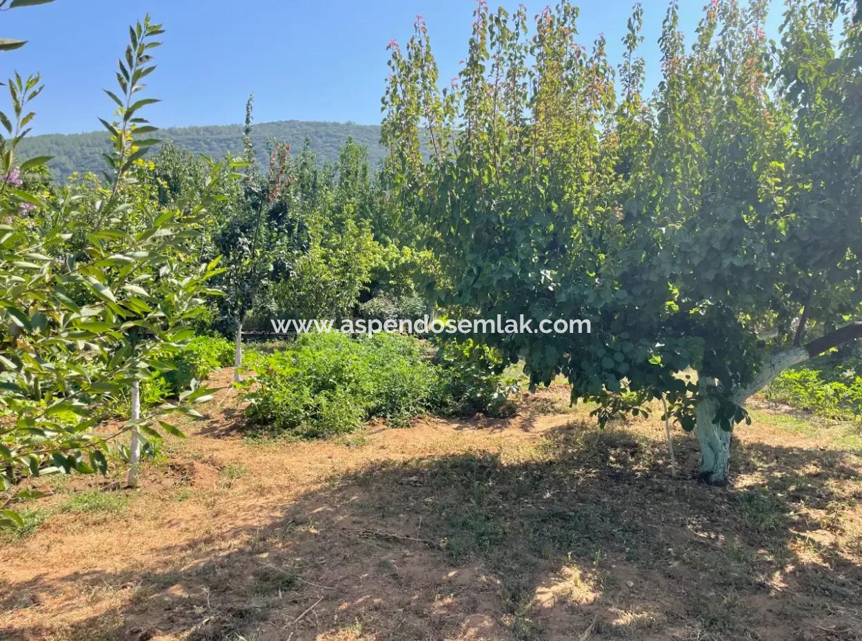 Muğla Ula Köprübaşı Mahallesin In 2378M2 Land In 3 1 Vlla For Sale