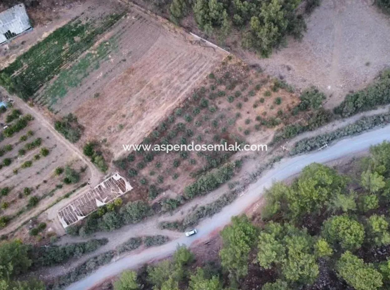 3578M2 Field For Sale On The Road Of Aşı Koyu In Mergenlide