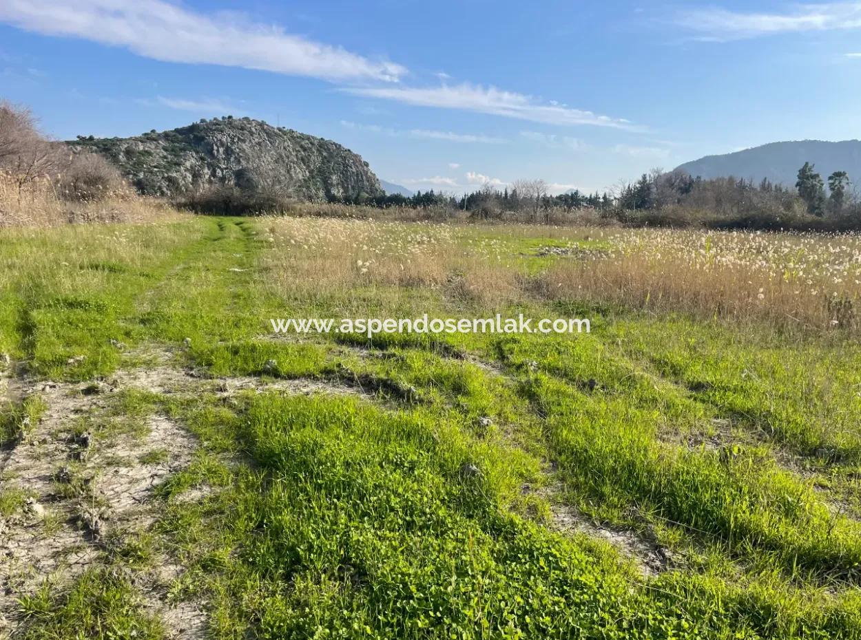 6800 M2 Land For Sale In Dalyan With 5% Residential Zoning