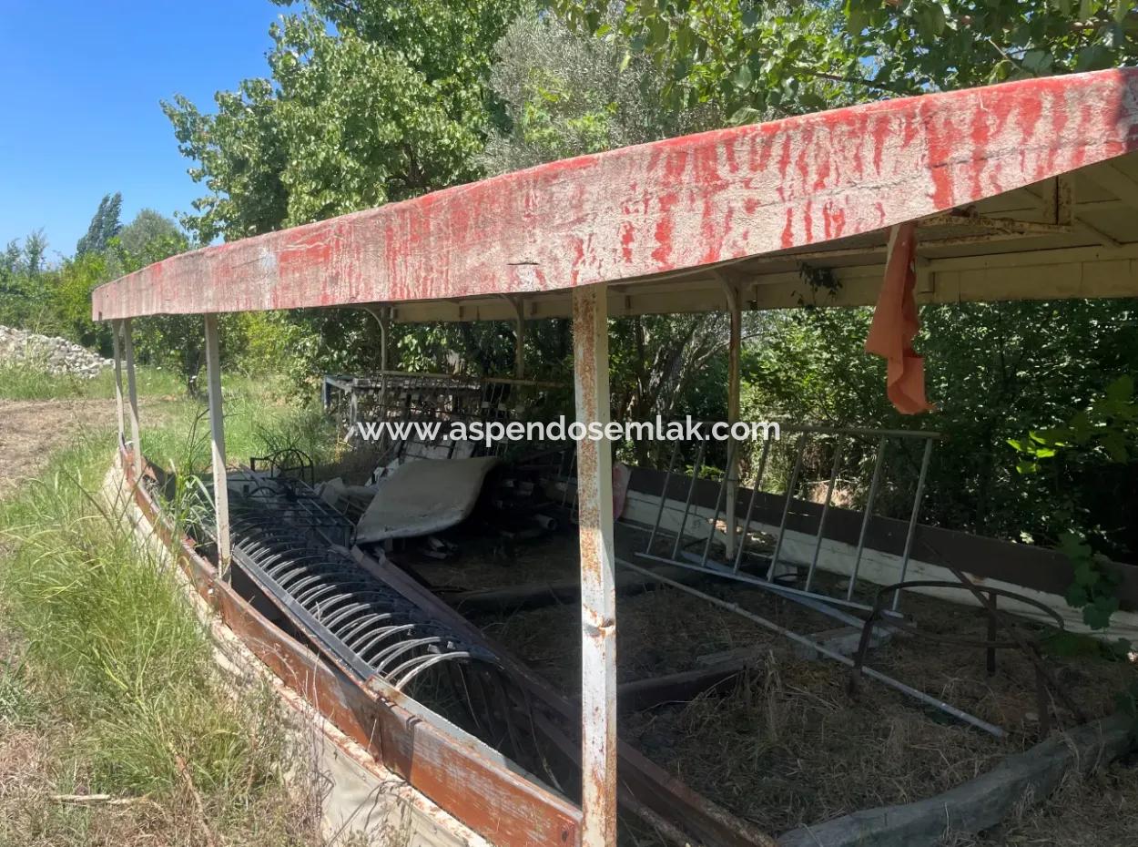 Road-New 6820M2 Pomegranate And Lemon Orchard Is For Sale In Tepearası