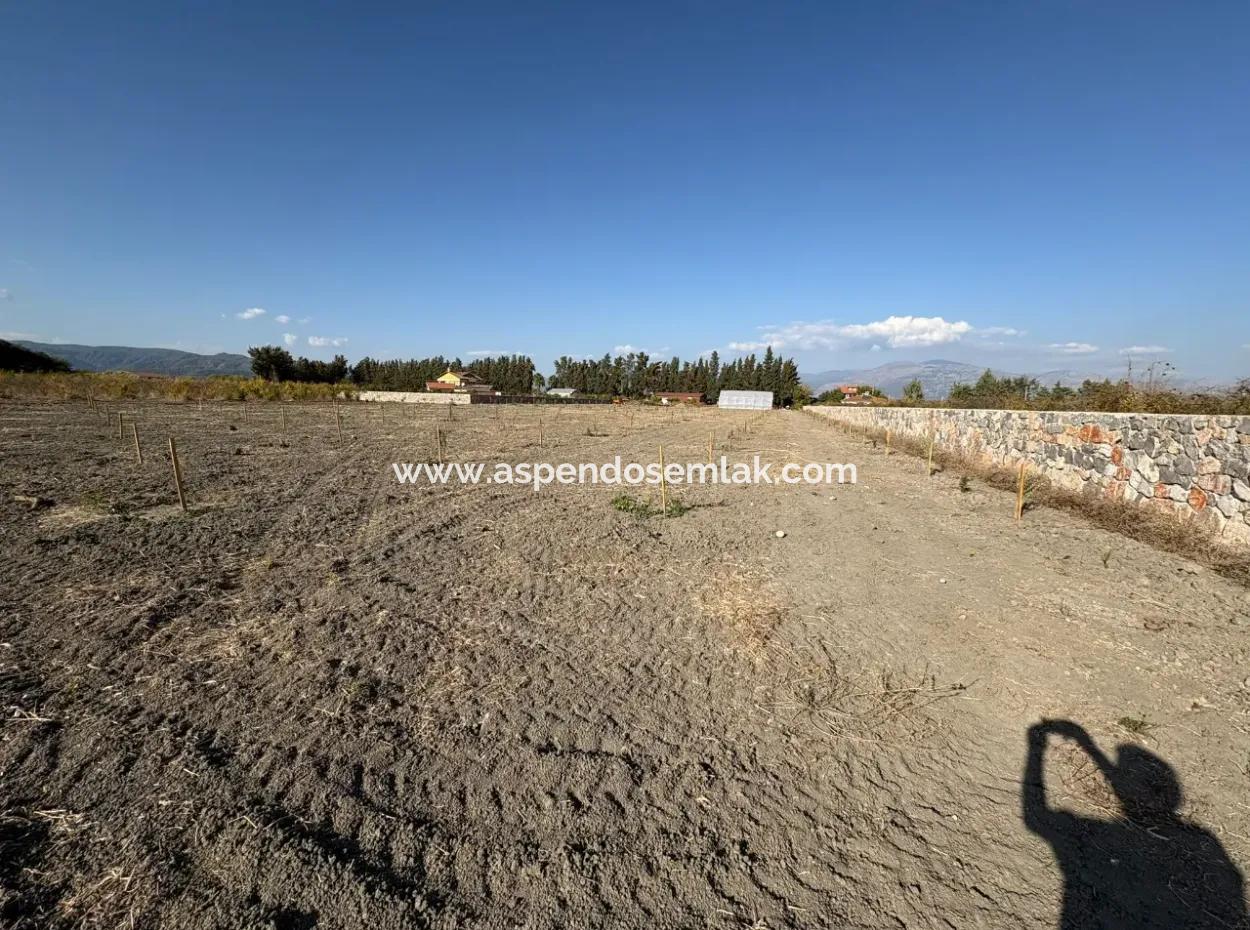 19.663M2 Farm Land And House For Sale In Eskiköy
