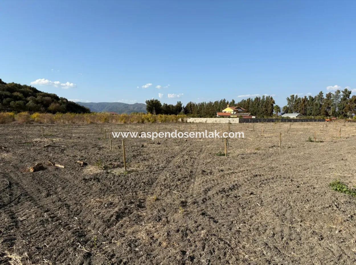 19.663M2 Farm Land And House For Sale In Eskiköy