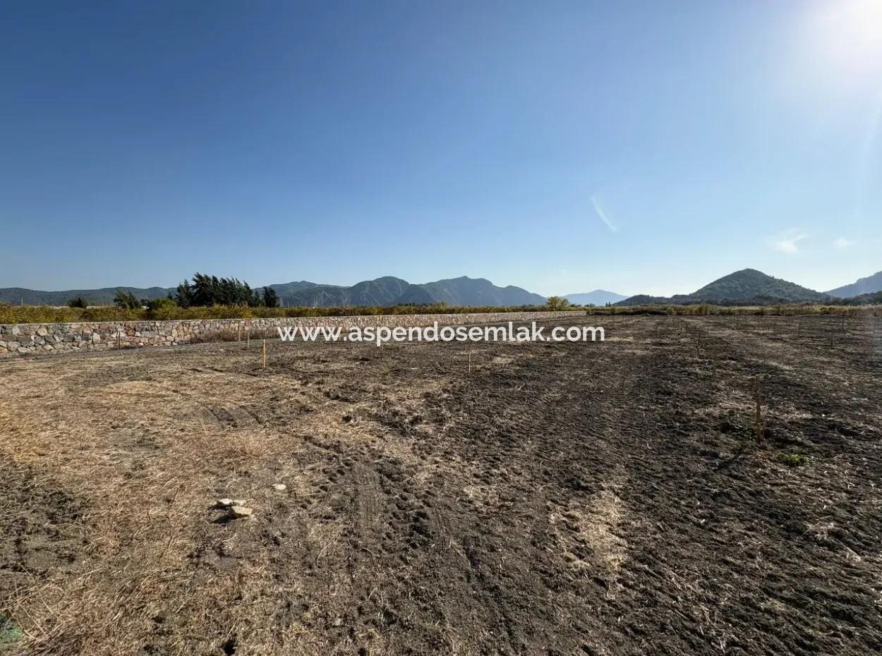 19.663M2 Farm Land And House For Sale In Eskiköy