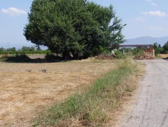 Plot For Sale On The Corner Of 540M2 In Okcular