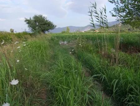 Farm For Sale Near The Centre Of Dalyan,14, 612M2 Farm For Sale