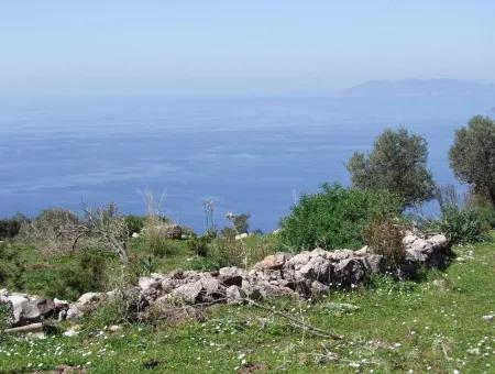 For Sale In Faralya Faralya With Sea View And 11,286M2 Land For Sale Tourism