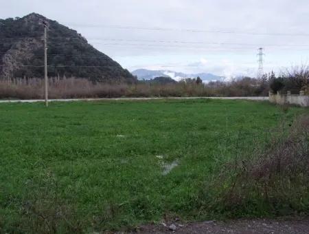 Gulpinar Dalyan Dalyan For Sale In 1002M2 Plot For Sale For Sale Cornerstone