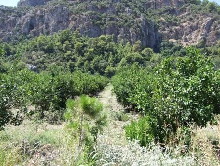 In Dalyan Plot For Sale In Channel Zero