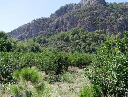 In Dalyan Plot For Sale In Channel Zero